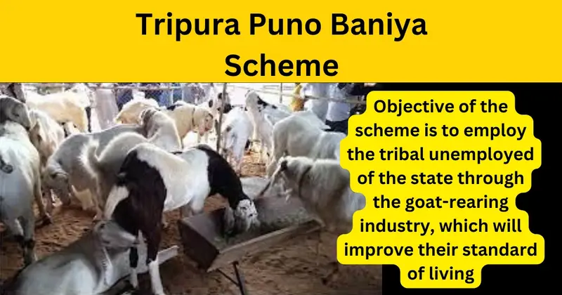 Tripura Puno Baniya Scheme