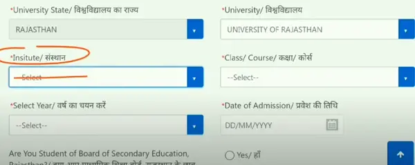 Institute Details