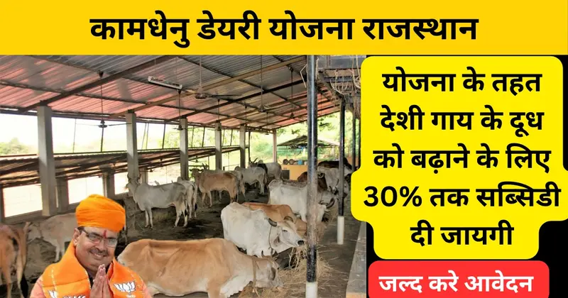 Kamdhenu Dairy Yojana Rajasthan